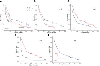 Nomogram model of survival prediction for nasopharyngeal carcinoma with lung metastasis: developed from the SEER database and validated externally